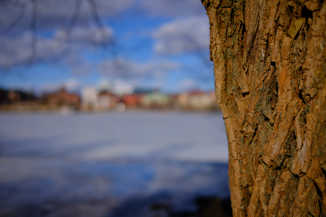 Fujifilm X100V_2w.jpg